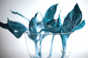 Photography titled "« Blue »" by Cojan, Original Artwork, Digital Photography