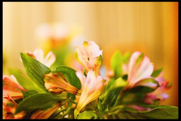 Fotografie getiteld "« Floral - 2 »" door Cojan, Origineel Kunstwerk, Digitale fotografie
