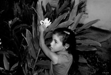 Photography titled "«La mariposa»" by Cojan, Original Artwork, Analog photography