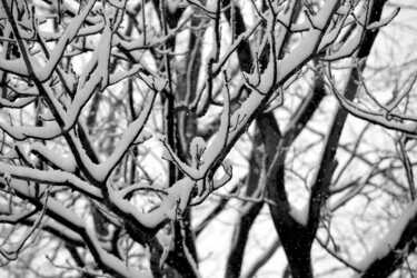 Photographie intitulée "«SNOW»" par Cojan, Œuvre d'art originale, Photographie numérique