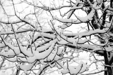 Photographie intitulée "«SNOW» (2)" par Cojan, Œuvre d'art originale, Photographie numérique