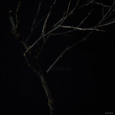 Fotografie mit dem Titel "I•K•E•B•A•N•A (dark)" von Cojan, Original-Kunstwerk, Digitale Fotografie