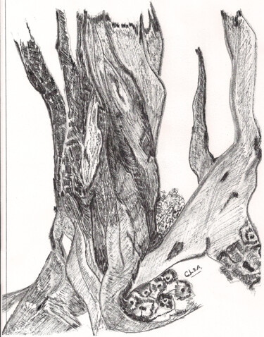 Dessin intitulée "l-arbre-image.png" par Colette Clea Rhode, Œuvre d'art originale