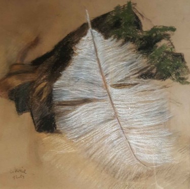 Peinture intitulée "Plume blanche" par Colette Levine, Œuvre d'art originale
