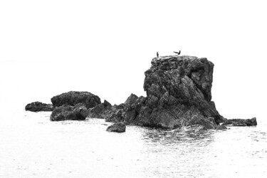 Arts numériques intitulée "shag on a rock" par Colin Jones, Œuvre d'art originale, Photographie manipulée