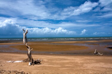 摄影 标题为“Sentinel at low tide” 由Colin Jones, 原创艺术品, 数码摄影