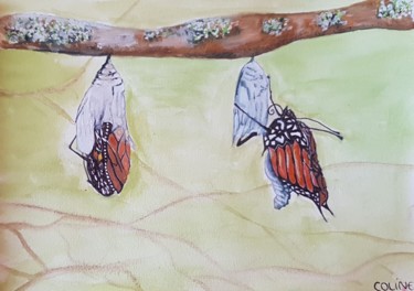 Painting titled "Butterfly" by Coline Cabré, Original Artwork, Watercolor