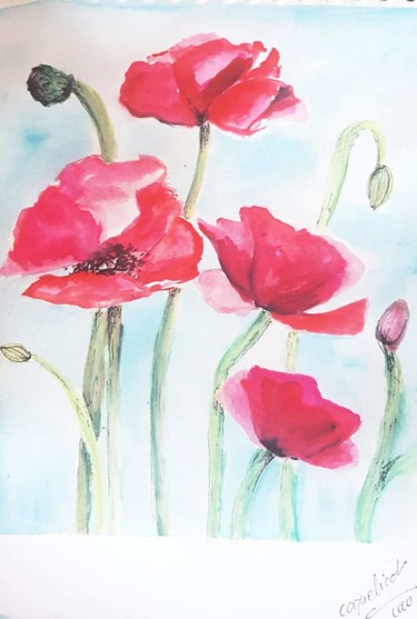 Painting titled "Coqulicots" by Coline Cabré, Original Artwork, Watercolor