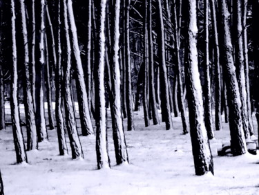 Photographie intitulée "Forêt en hiver.jpg" par Coline Kiéné, Œuvre d'art originale