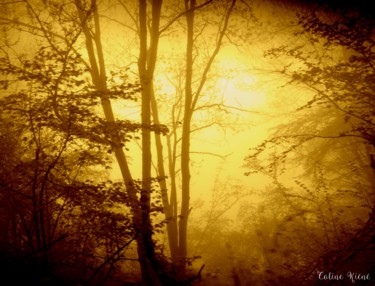 Photographie intitulée "Brume matinale.jpg" par Coline Kiéné, Œuvre d'art originale