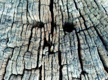 Photography titled "WOOD LOOK" by Cologne Art Project, Original Artwork, Digital Photography