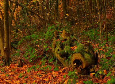 Photographie intitulée "Tronc d'arbre en Au…" par Ludovic Vincent, Œuvre d'art originale, Photographie numérique