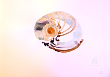 Peinture intitulée "Effusion Coquillage…" par Constance Robine, Œuvre d'art originale, Aquarelle