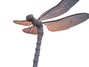 Sculpture titled "Dragonfly" by Constantin Hadîrcă, Original Artwork, Metals