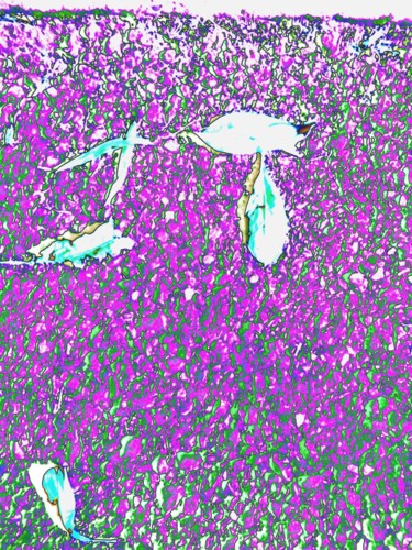 Картина под названием "Purple pop" - Greg Powell, Подлинное произведение искусства, 2D Цифровая Работа