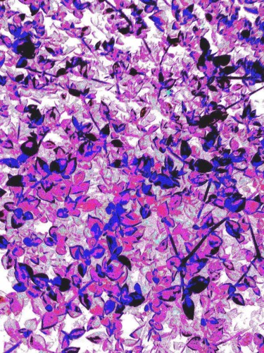 Картина под названием "Violets are blue" - Greg Powell, Подлинное произведение искусства, 2D Цифровая Работа
