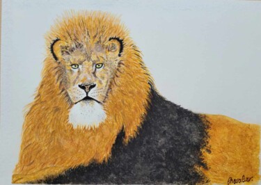 Painting titled "Le Lion de l'Atlas" by Coralie Chevalier, Original Artwork, Watercolor