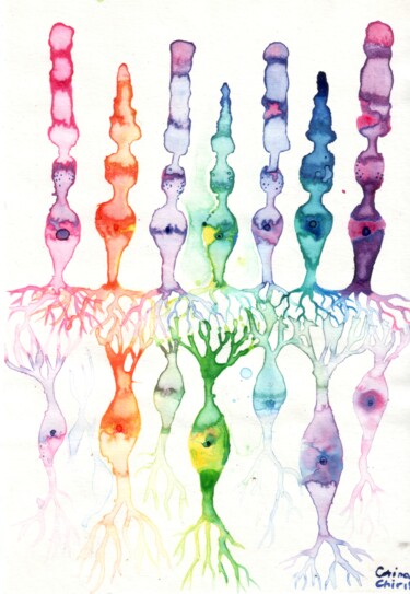 Картина под названием "Cone cells and rod…" - Corina Chirila, Подлинное произведение искусства, Акварель