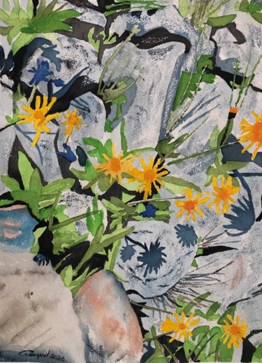 Pintura intitulada "fleurs de rocaille" por Corinne Cauquil, Obras de arte originais, Aquarela