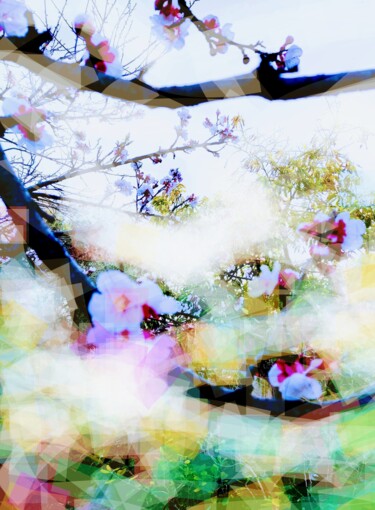 Photographie intitulée "The spring / Le pri…" par Corinne Courlet (Artcolorsimages), Œuvre d'art originale, Light Painting