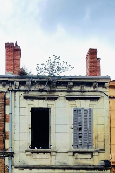 Fotografia intitolato "Building with pigeo…" da Corinne Courlet, Opera d'arte originale, Fotografia digitale