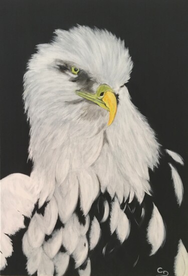 Painting titled "Aigle : le Pygargue…" by Corinne Delorme (Lagrandeco), Original Artwork, Acrylic