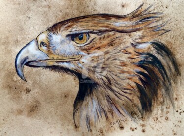 Drawing titled "Aquila" by Corinne Maggiore, Original Artwork, Ballpoint pen