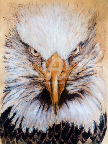 Drawing titled "Sitka" by Corinne Maggiore, Original Artwork, Ballpoint pen