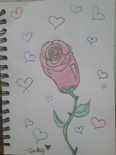 Drawing titled "Lovely rose" by Courtney English Hall, Original Artwork, Pencil