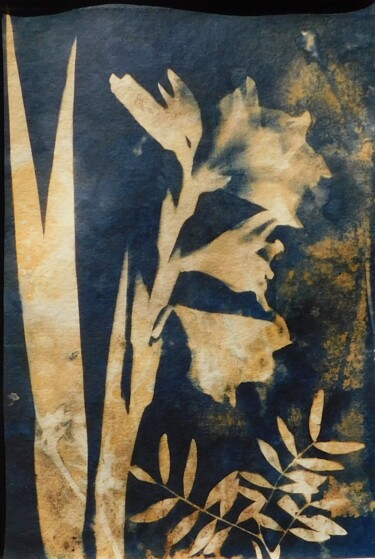 Druckgrafik mit dem Titel "21 x 30_VEGETAL 31" von Cornelia Tersanszki, Original-Kunstwerk, Light Painting Auf Karton montie…