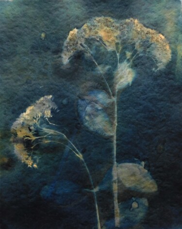 Printmaking titled "21 x 30_VEGETAL 24" by Cornelia Tersanszki, Original Artwork, Light Painting Mounted on Cardboard