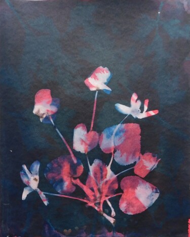 Printmaking titled "21 x 30_VEGETAL 29" by Cornelia Tersanszki, Original Artwork, Light Painting Mounted on Cardboard