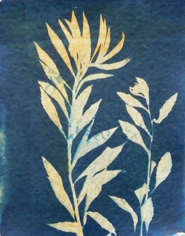 Printmaking titled "21 x 30_VEGETAL 55" by Cornelia Tersanszki, Original Artwork, Light Painting Mounted on Cardboard