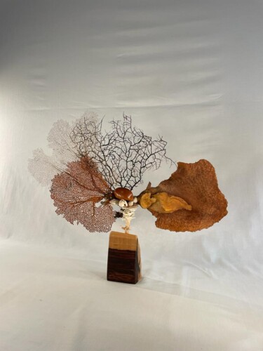 Скульптура под названием "PISCI" - Corol, Подлинное произведение искусства, Дерево