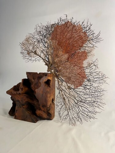 Скульптура под названием "REFUGE" - Corol, Подлинное произведение искусства, Дерево