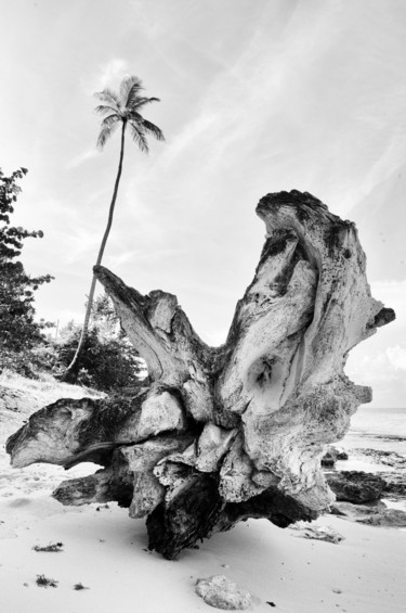 Photography titled "Caribbean beach in…" by Cosmina Lefanto, Original Artwork, Digital Photography