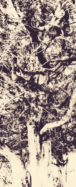 Photographie intitulée "Arborescence _ Abst…" par Coyote Shah, Œuvre d'art originale