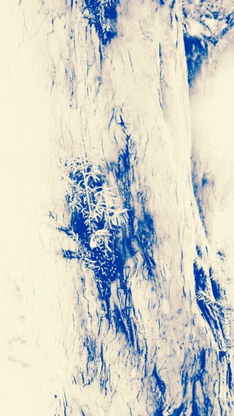 Photographie intitulée "Arbre-abstrait_bleu" par Coyote Shah, Œuvre d'art originale
