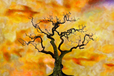 Digital Arts titled "Bushfire" by Poul Erik Christensen, Original Artwork, Digital Painting Mounted on Other rigid panel