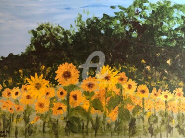 Pintura intitulada "Abruzzo - Girasols…" por Colette Pennarun, Obras de arte originais, Óleo