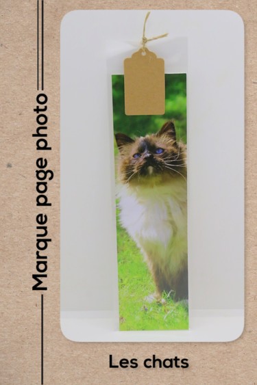 Marque page chat Sacré de Birmanie Photography titled "Marque page chat Sa…" by Christelle Prieur, Original Art, Digital Photography