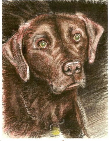 Painting titled "dog 1" by David Quilliams, Original Artwork