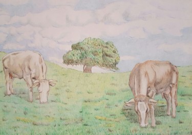 Drawing titled "cows" by Kiko Cristoni, Original Artwork, Pencil
