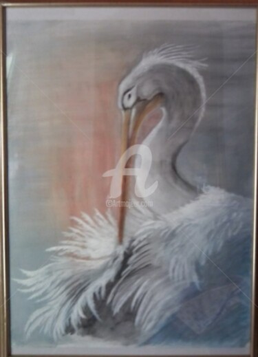 Painting titled "pelican" by Criscol, Original Artwork