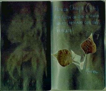 Artes digitais intitulada "Choupo-Populus Bals…" por Cristina Oliveira, Obras de arte originais