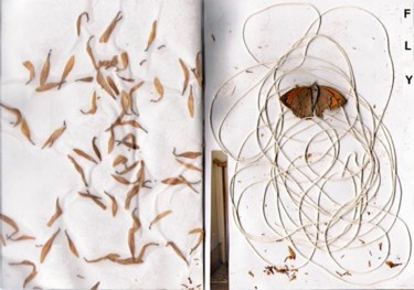 Colagens intitulada "fly" por Cristina Oliveira, Obras de arte originais
