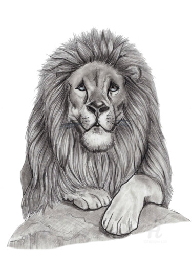 Рисунок под названием "Lion" - Cristina Barbato, Подлинное произведение искусства, Графит