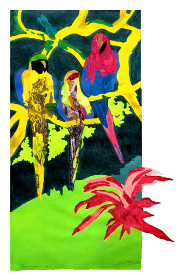 Gravures & estampes intitulée "AMAZONIA" par Cristina Santander, Œuvre d'art originale, Gravure