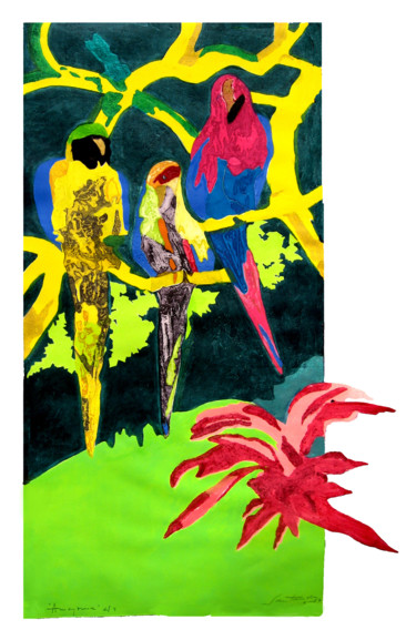 AMAZONIA Gravures & estampes intitulée "AMAZONIA" par Cristina Santander, Œuvre d'art originale, Gravure