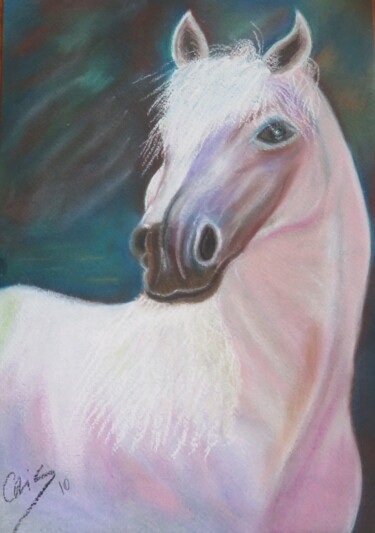 Painting titled "O Cavalo Branco 1" by Cristina Teixeira, Original Artwork, Pastel